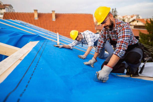 4 Ply Roofing in Fisher, IL