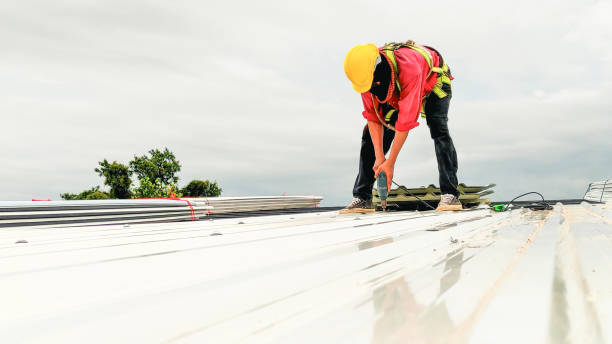 Best Asphalt Shingles Roofing  in Fisher, IL